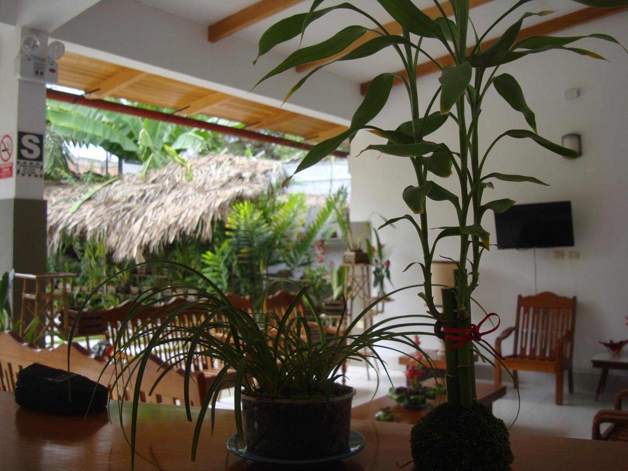 Altavista Casahotel - Asociado Casa Andina Moyobamba Extérieur photo